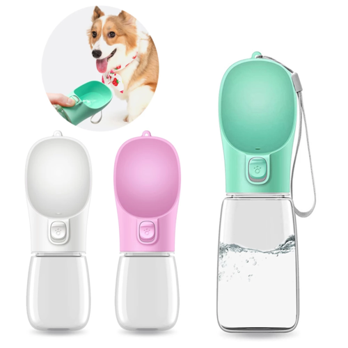 Water dispenser