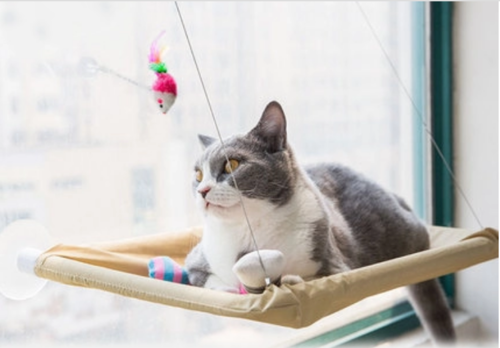 Cat Bed/Window hammock