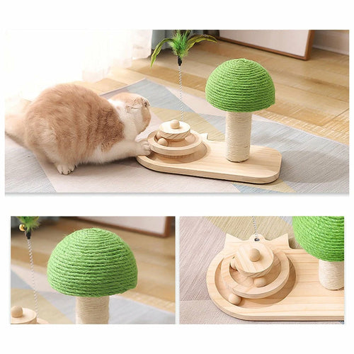 Cat Scratching Post