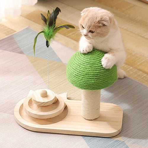 Cat Scratching Post