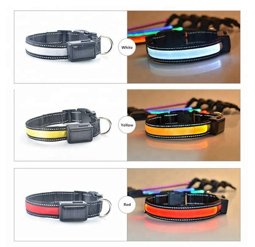LED Collar